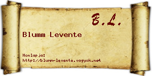 Blumm Levente névjegykártya